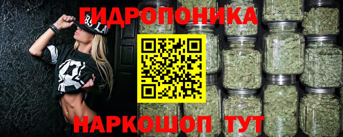 Новоалександровск  Марихуана семена  Вход с VPN  Бошки марихуана OG Kush 
